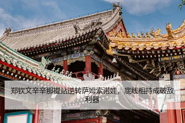 zheng-qin-wen-xin-xin-na-ti-zhan-ni-zhuan-sa-mu-suo-nuo-wa-di-xian-xiang-chi-cheng-po-di-li-qi-3-385.jpg