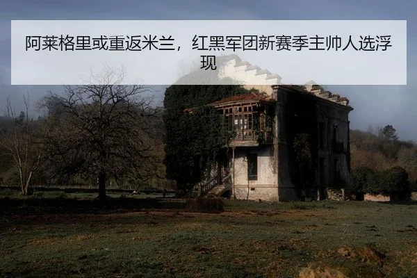 a-lai-ge-li-huo-chong-fan-mi-lan-hong-hei-jun-tuan-xin-sai-ji-zhu-shuai-ren-xuan-fu-xian-2-748.jpg
