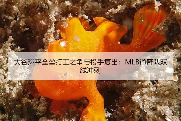 da-gu-xiang-ping-quan-lei-da-wang-zhi-zheng-yu-tou-shou-fu-chu-dao-qi-dui-shuang-xian-chong-ci-2-262.jpg