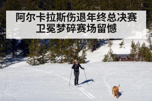 阿尔卡拉斯伤退年终总决赛卫冕梦碎赛场留憾